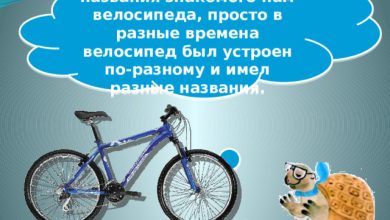 Photo of Уникальные особенности синих велосипедов